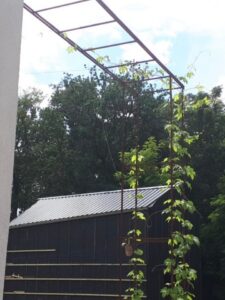 Structure portique porte orge sur mesure